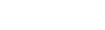 WiseRU